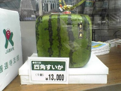 japan melon photo