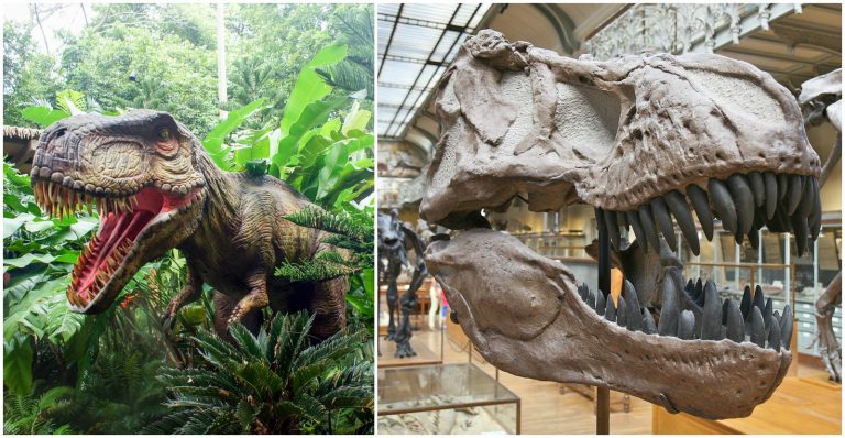 Zaujímavosti o  dinosauroch –   Prečo vyhynuli a ako vyzeral najstarší dinosaurí „záchod“ ?