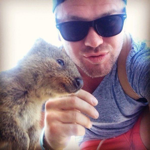 Quokkas 3