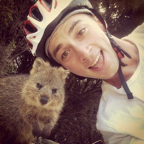 Quokkas 13