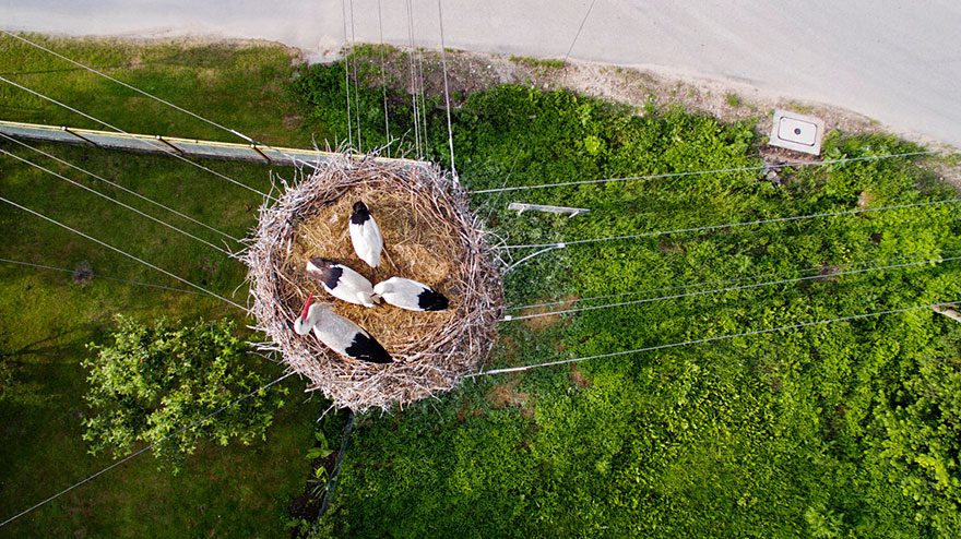 dron 2