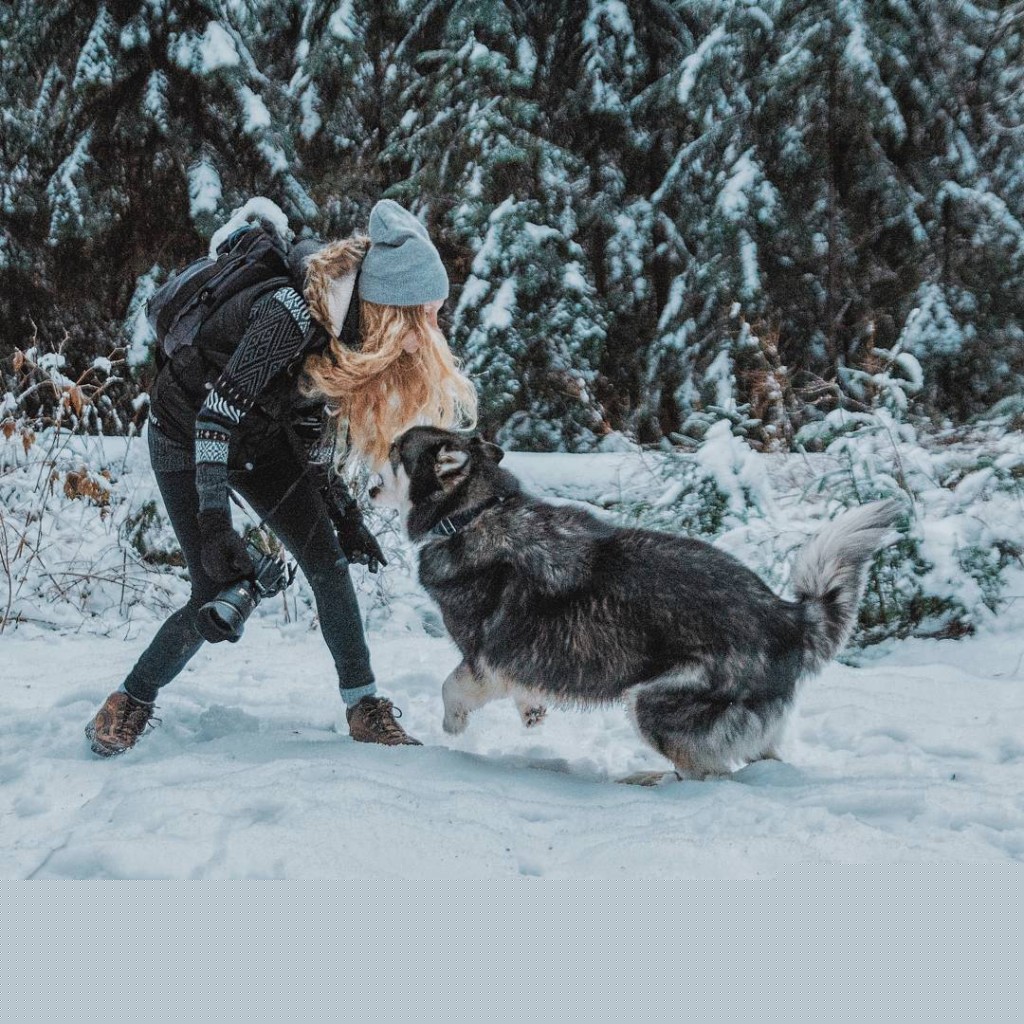 husky 8