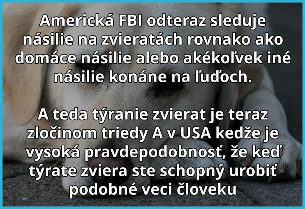 tyranie zvierat