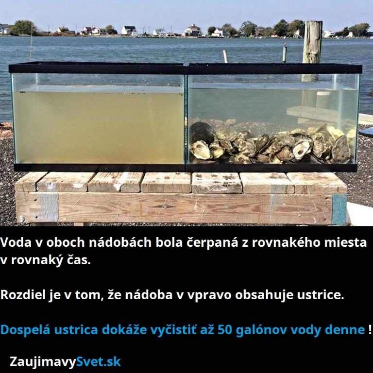 Voda v oboch nádobách je rovnaká až na jeden detail