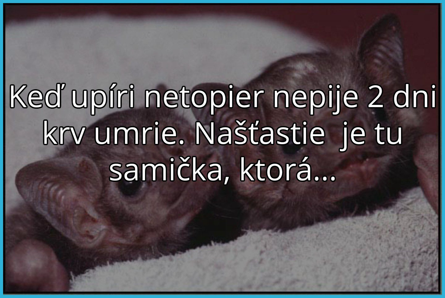 Až to je ta prává láska