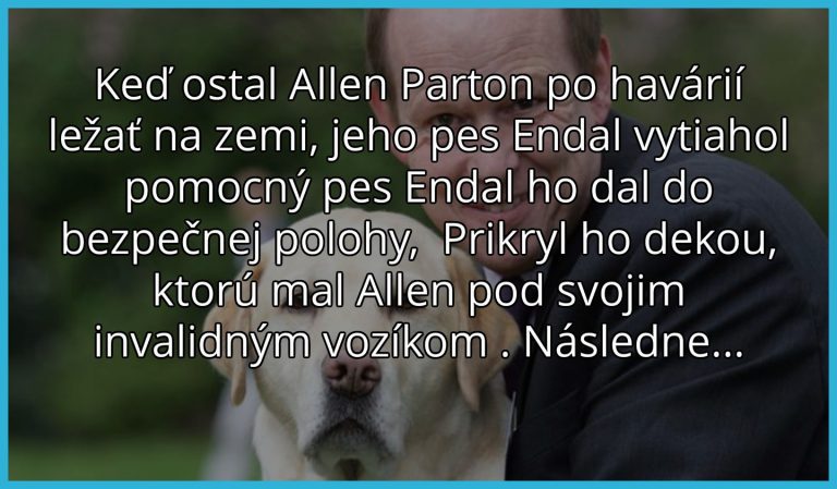 Kto povedal, že iba človek môže byt hrdinom