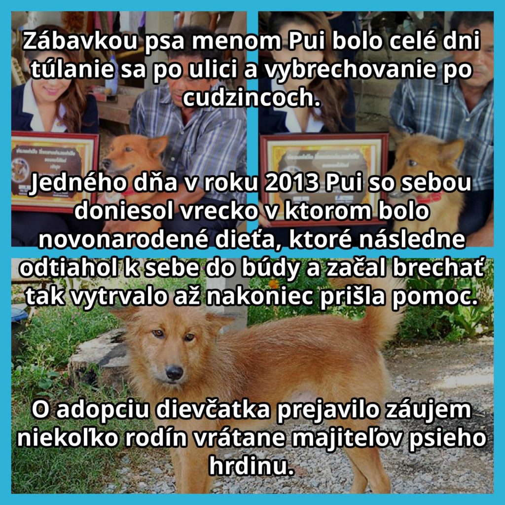 Pui
