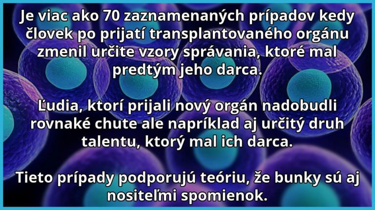 Čo sme o bunkách nevedeli