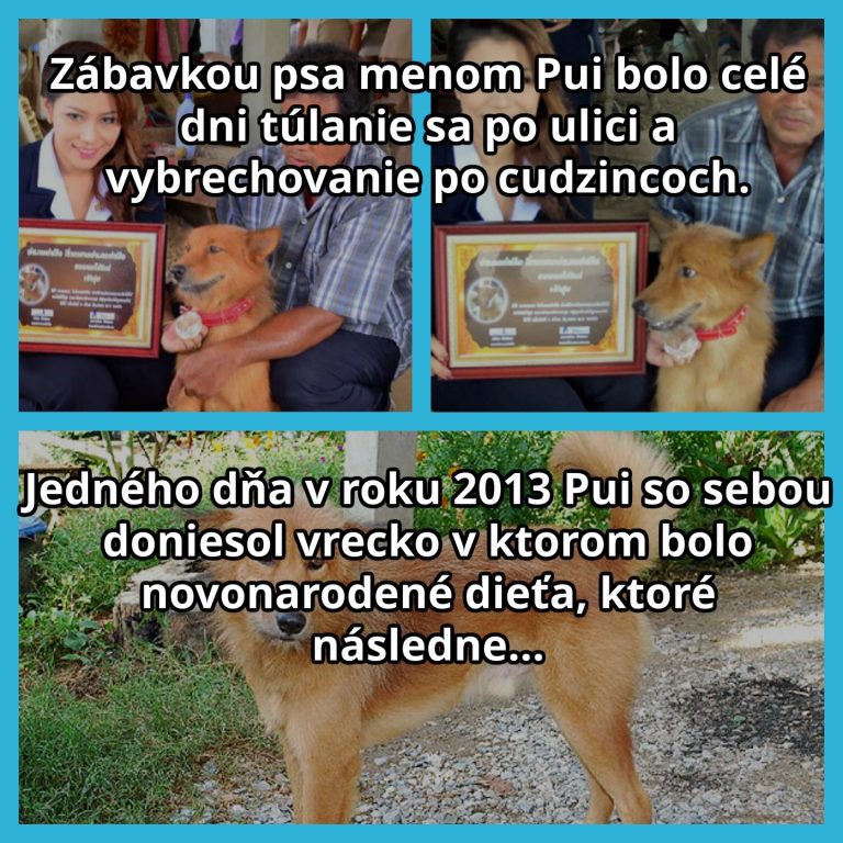 Neposlušný ale predsa hrdinom