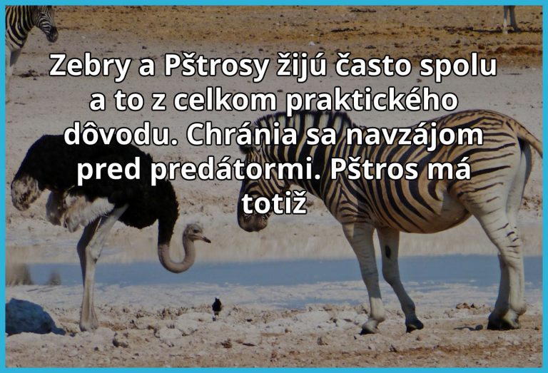 Dokonalá zvieracia spolupráca