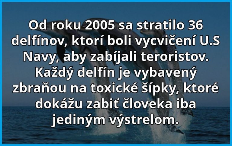 Tieto delfíny by ste na mori stretnúť nechceli