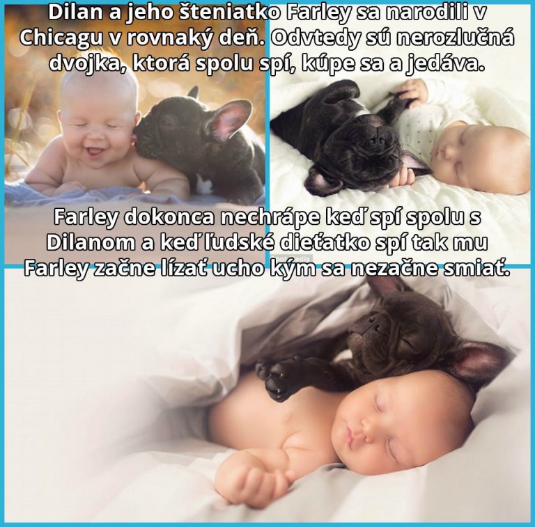 Nerozluční kamoši