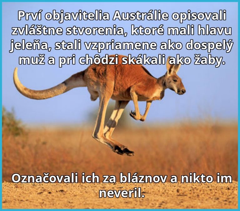 Neuveriteľné stvorenia