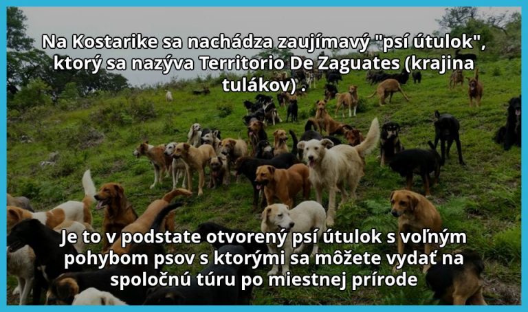 Netradičný útulok