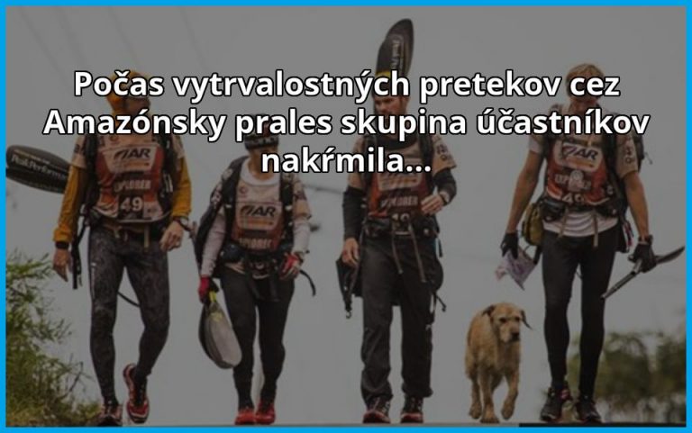 Skupinka si počas vytrvalostných pretekov našla kamaráta