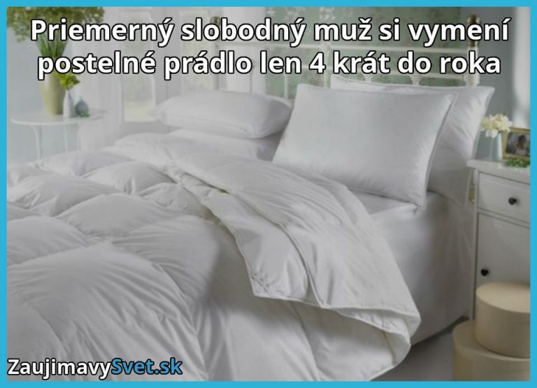 Život priemerného slobodného muža