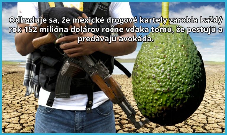 Zárobková činnosť mexických kartelov