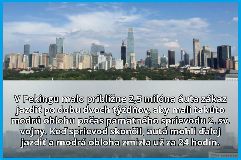 Autá mali zákaz jazdiť, aby sa naskytol takýto pohľad