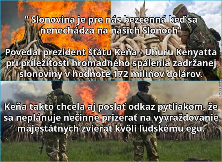 Cenná a zároveň bezcenná
