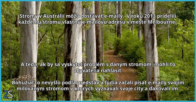 Milované stromy v Austrálií