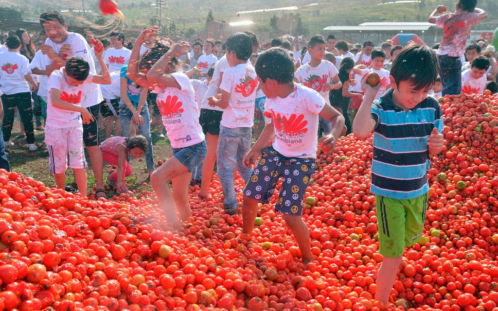 hadzanie paradajok