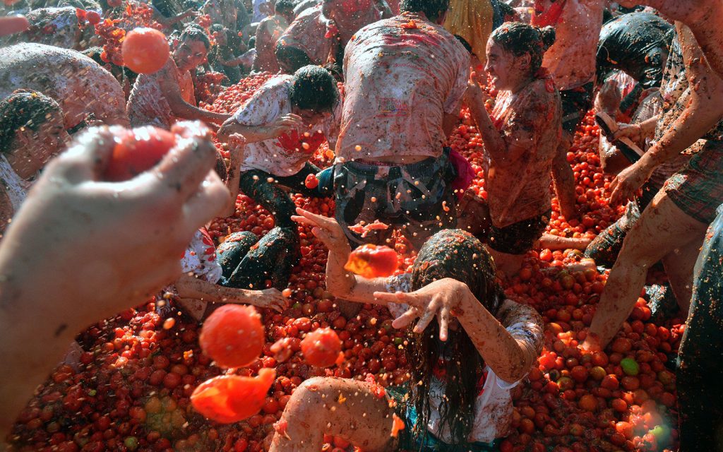hadzanie paradajok