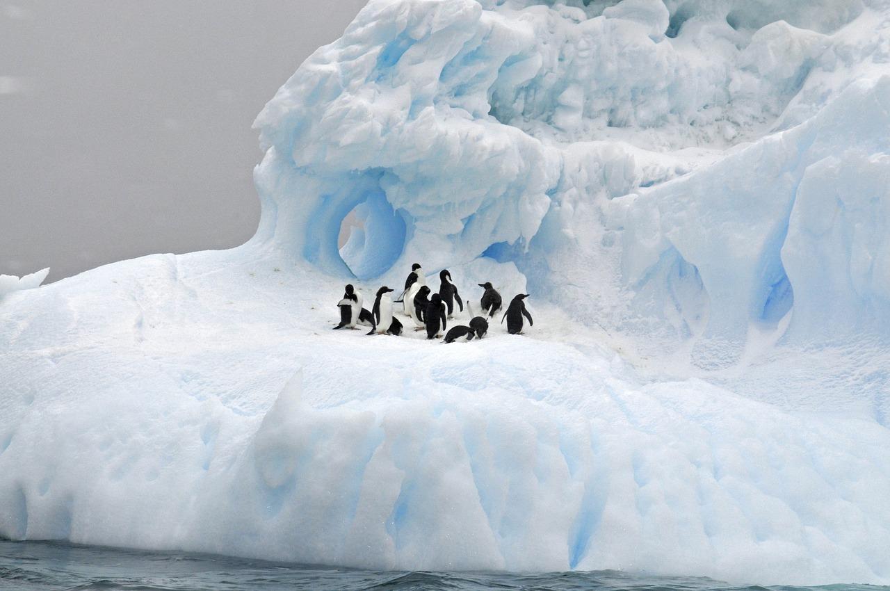 Photo by jodeng antarctica fotografia