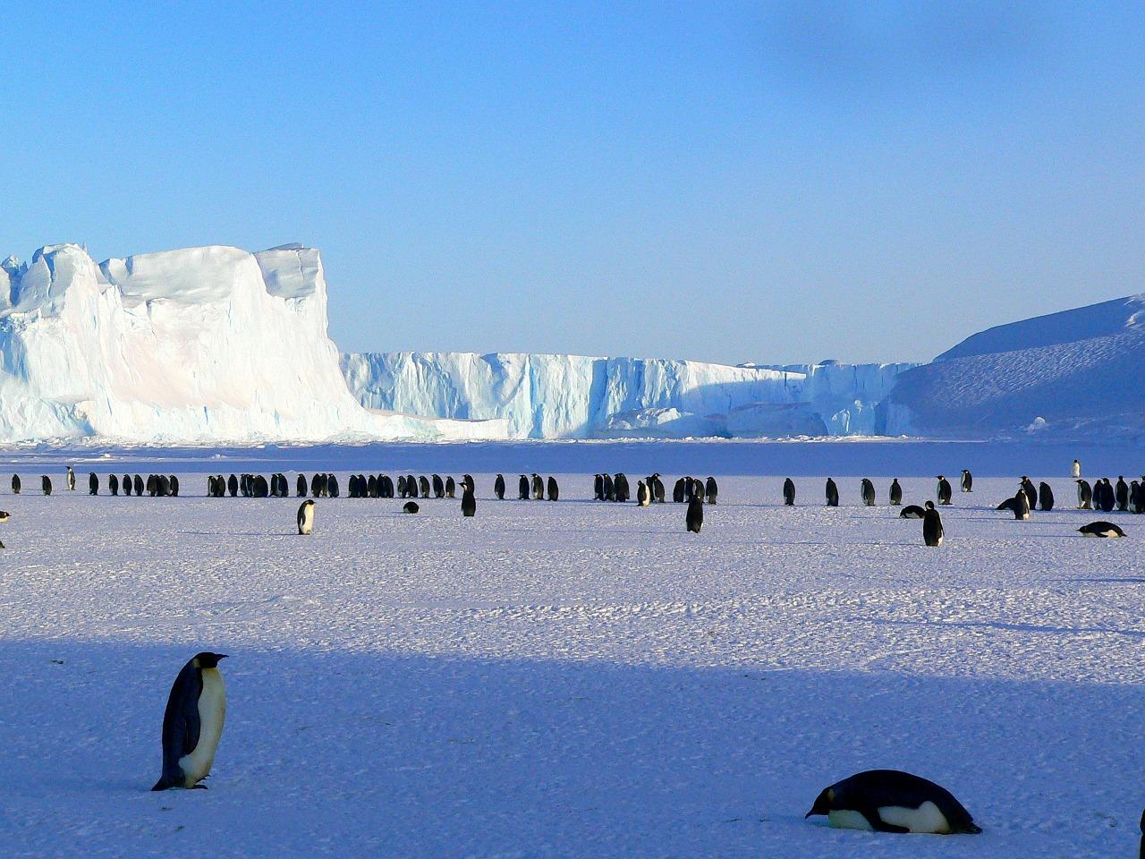 Photo by MemoryCatcher antarctica fotografia