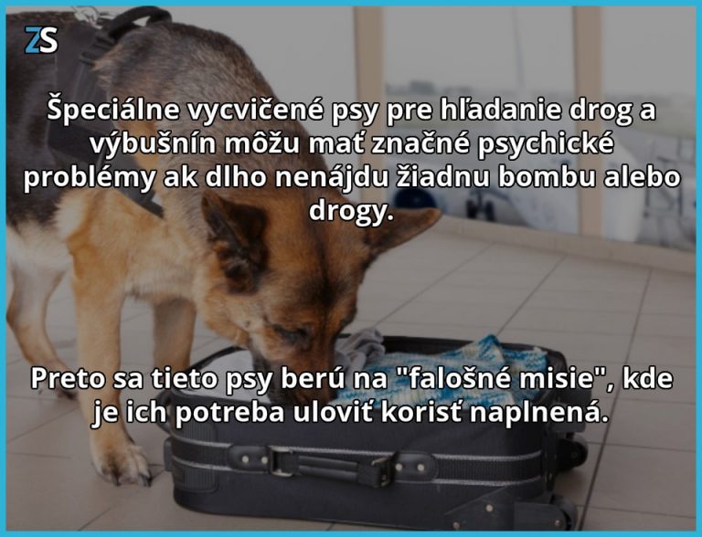 Potreba uloviť korisť