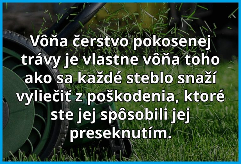 Vôňa čerstvo pokosenej trávy