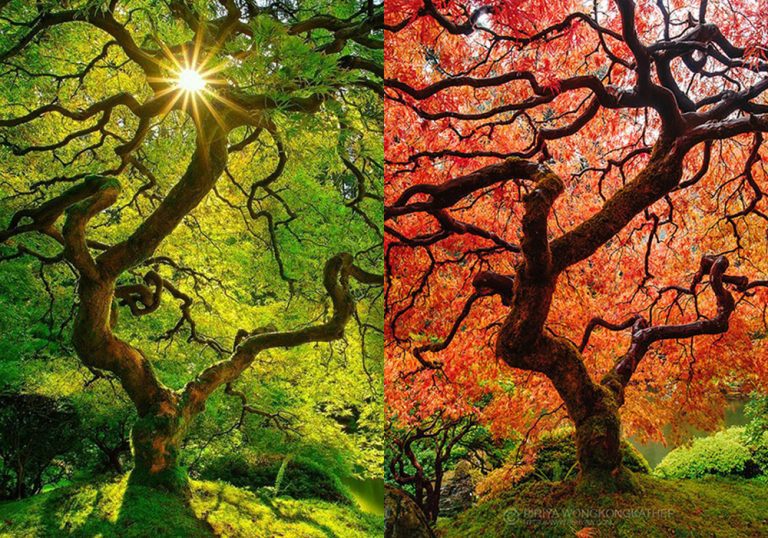 20 neskutočných fotografií premeny prírody na jeseň