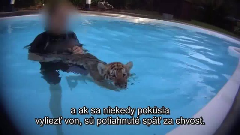 Toto video vám odkryje temné pozadie fotiek so zvieratami