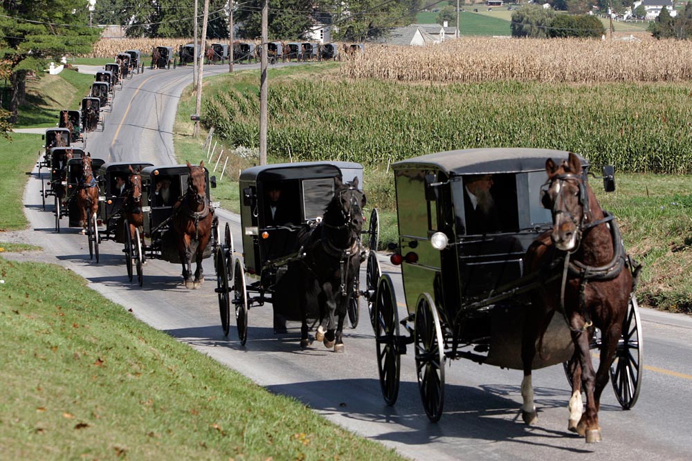 AMISH SHOOTING - 64-15-JOHNB-A-07.jpg - A horse and buggy Amish funeral procession move along Mine Road towards Bart Cemetery, after the service of Naomi Rose Ebersol the first of three services today for four of the victims in Bart Township, Lancaster County, Pa. on October 5, 2006.