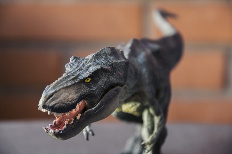 Najnovšie vedecké výpočty odhaľujú pravdu o Tyranosaurovi rexovi