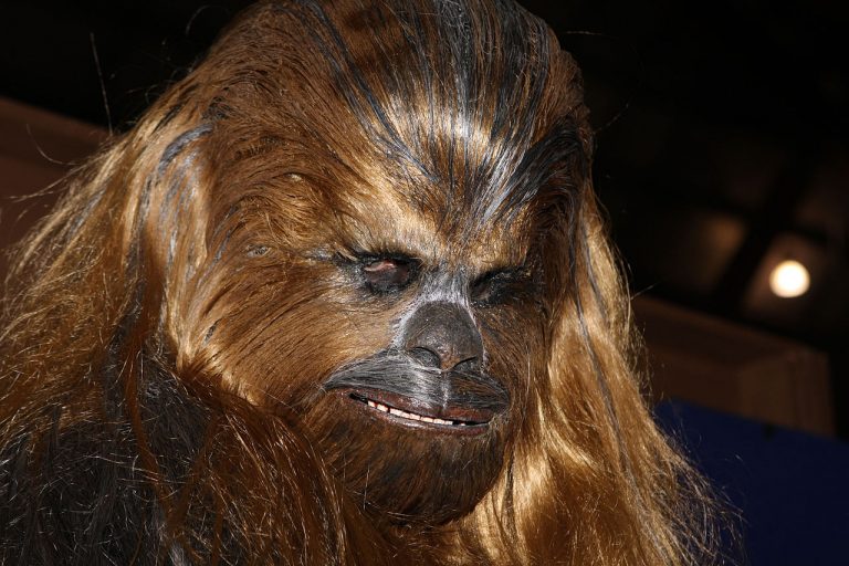 Pri natáčaní filmu Návrat Jediho bola hercovi Chewbacca prísne zakázaná jedna činnosť