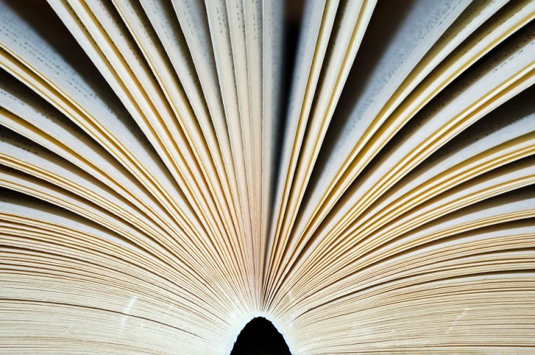 Bizarná 300 stranová kniha, v ktorej je zakázané použiť jedno písmeno