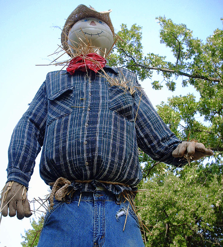 Human scarecrow photo