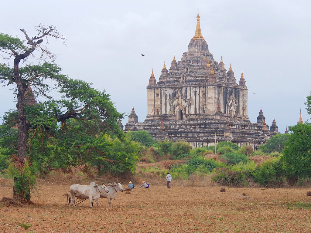 Bagan Myanmar by Clay Gilliland fotografia