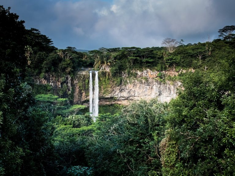 Brazília sa pustila do doteraz najväčšieho projektu na obnovu Amazonského dažďového pralesa
