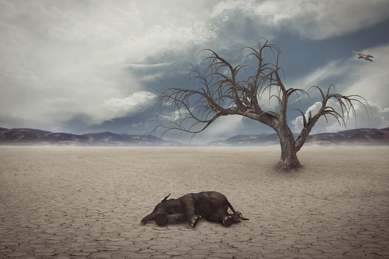 global warming fotografia
