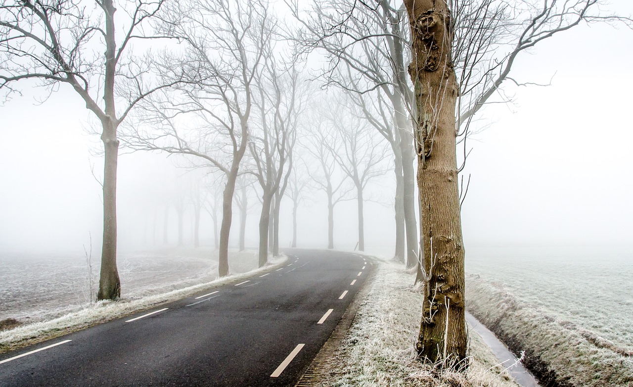 winter road fotografia