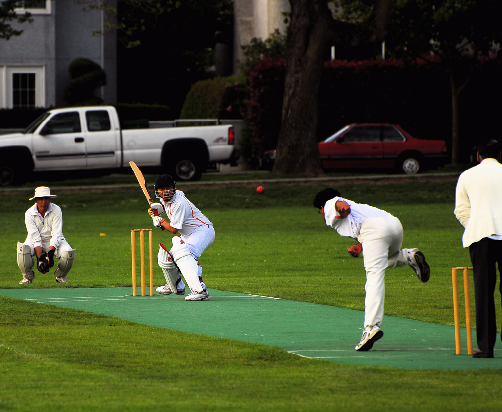 Cricket by Patrick Doheny cricket fotografia
