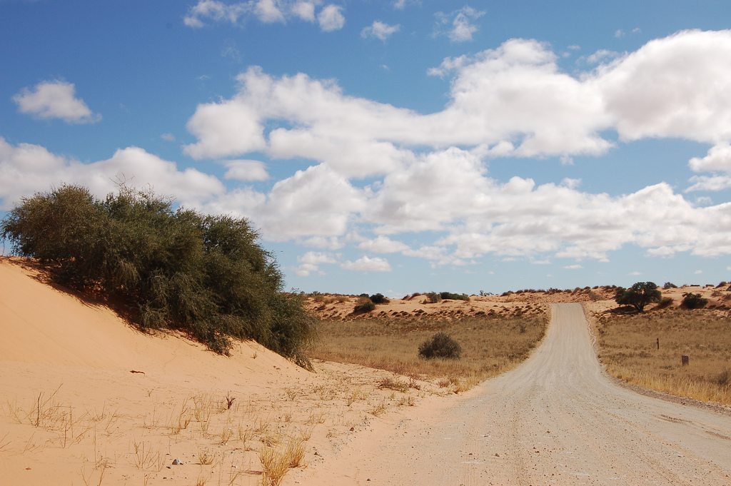 kalahari fotografia