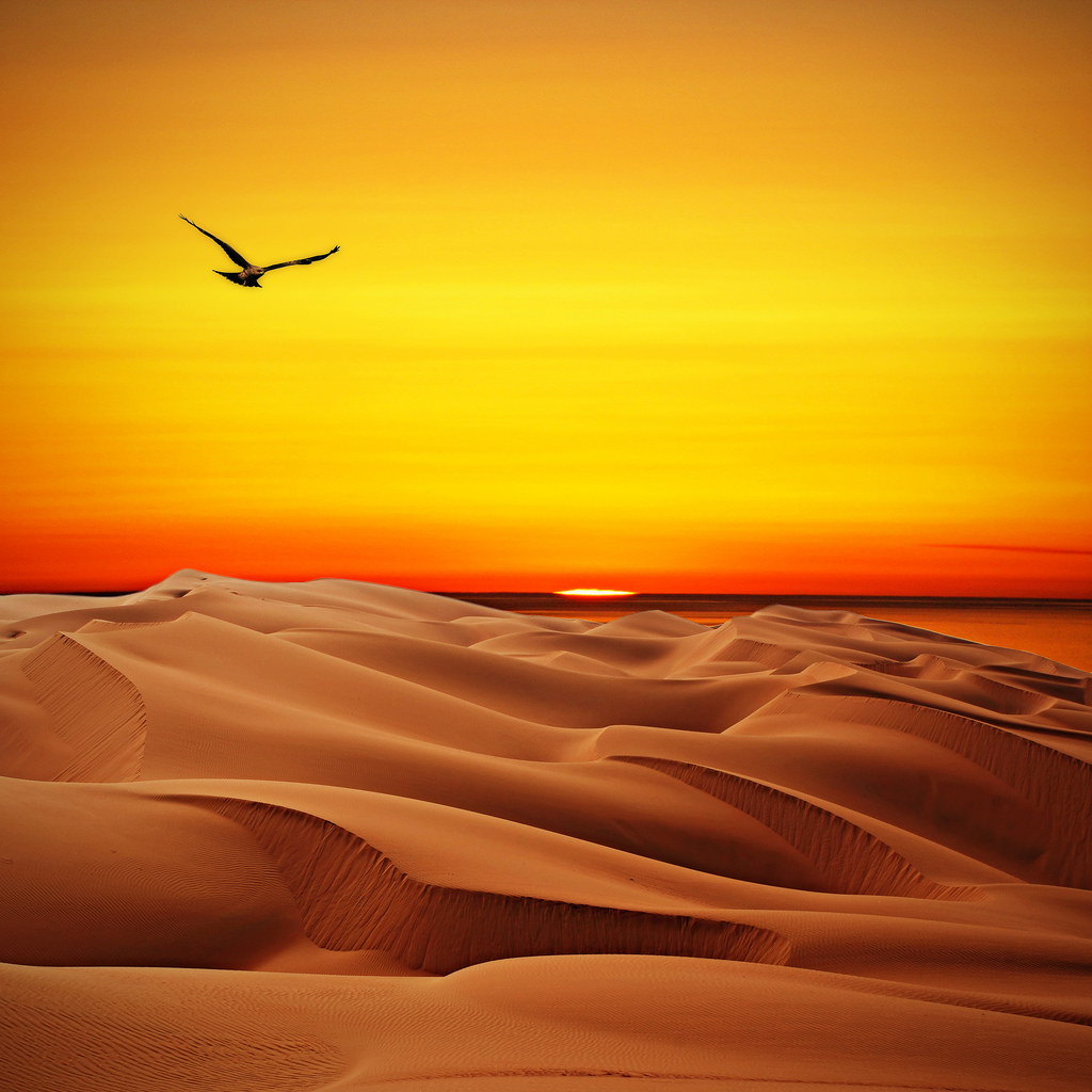 empty quarter fotografia