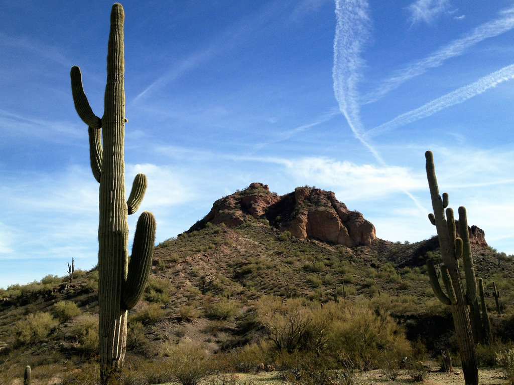 sonoran fotografia