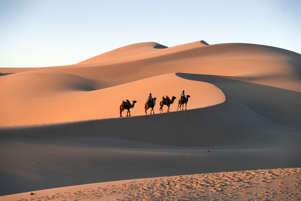 gobi desert fotografia