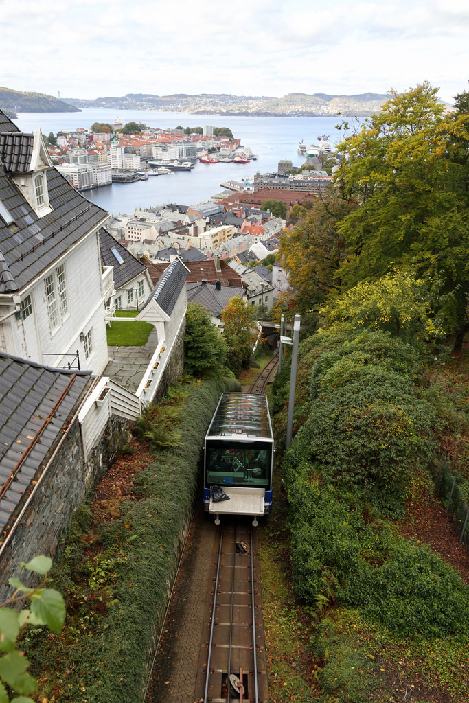 IMG_1048 by angrykarl bergen train fotografia
