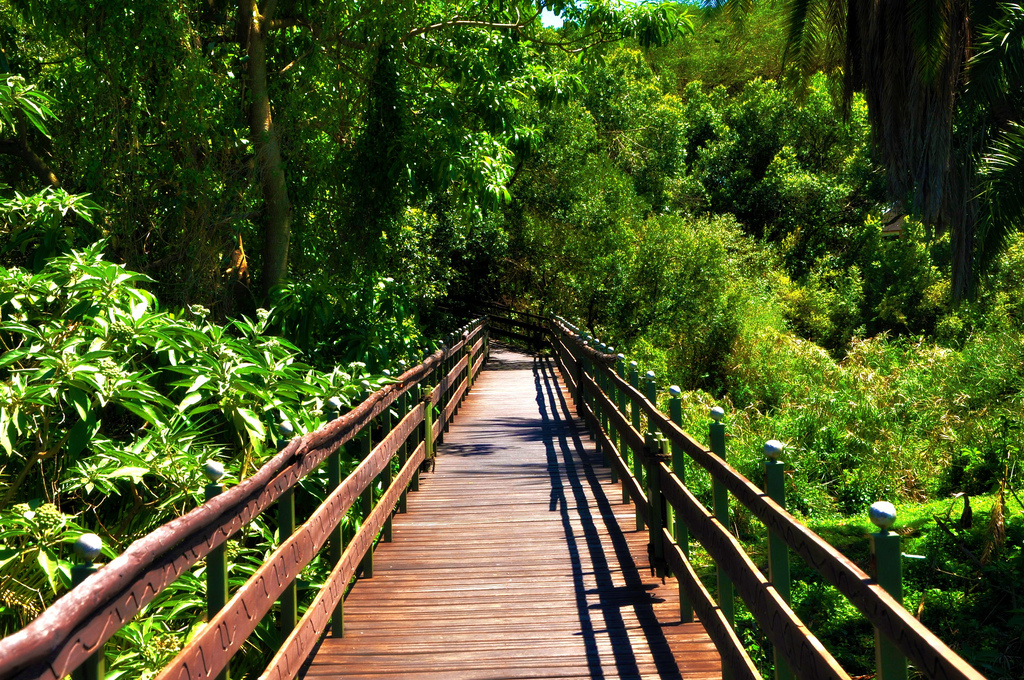 Shortcut to the hideout! by Wajahat Mahmood kenya fotografia