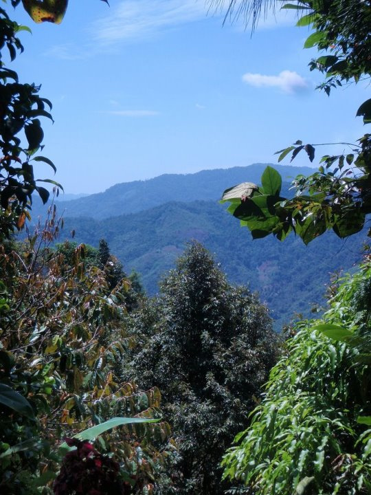 Borneo Valley by andreaarden borneo fotografia