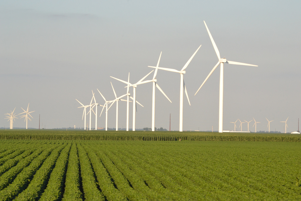 windmill fotografia